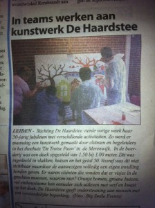 2012 krant haardsteejub